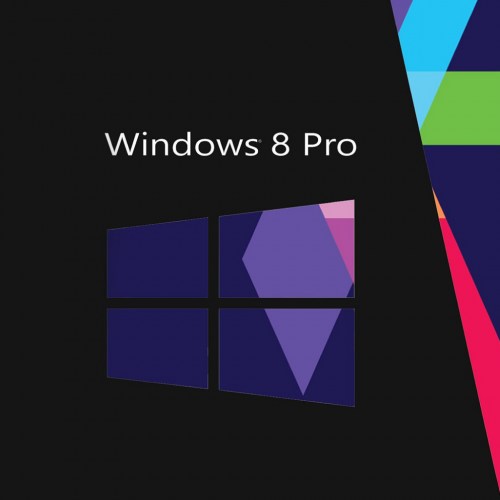 WINDOWS 8 LOGO-100